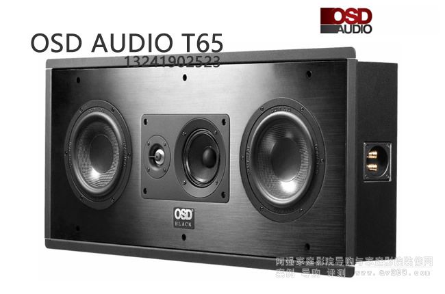 OSD OSD Audio T65lLCR6.5