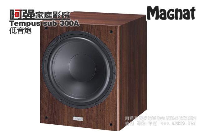 Magnat Tempus sub300A