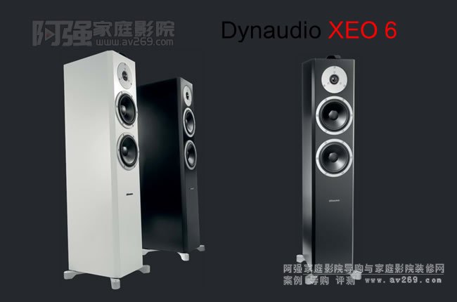 Dynaudio Xeo6 Ɛo(w)ԴB