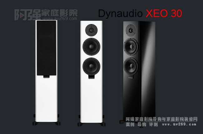 Dynaudio Xeo30 Ɛo(w)ԴB