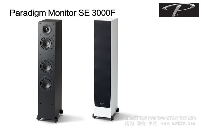 ôMonitor SE3000FB