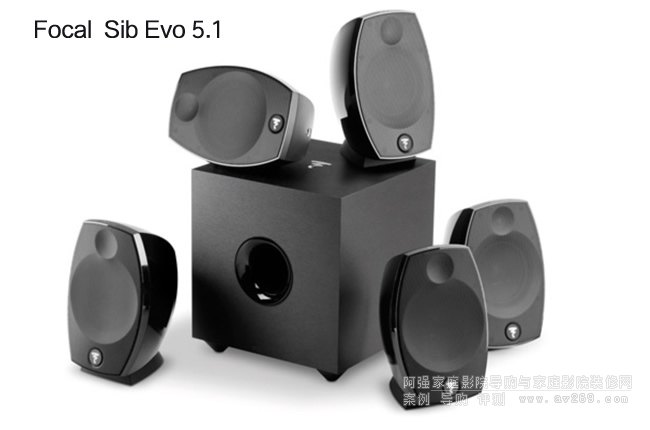 Focal Sib Evo 5.1l(wi)b