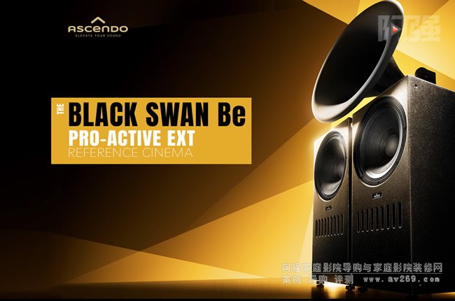 ˹D THE BLACK SWAN Be PRO-ACTIVE EXT REFERENCE CINEMA (RC)