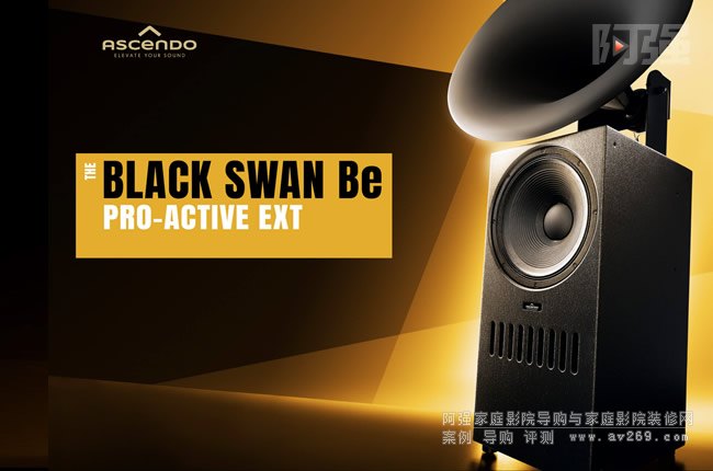 ˹DTHE BLACK SWAN Be ACTIVE EXT