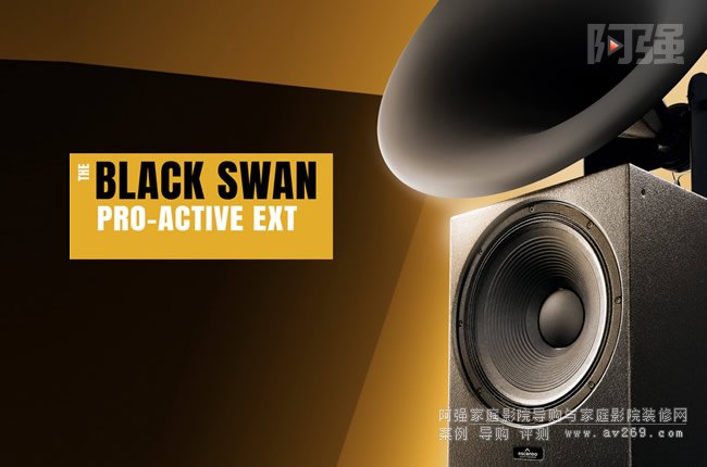 ˹DAscendo̖(ho)THE BLACK SWAN ACTIVE EXT