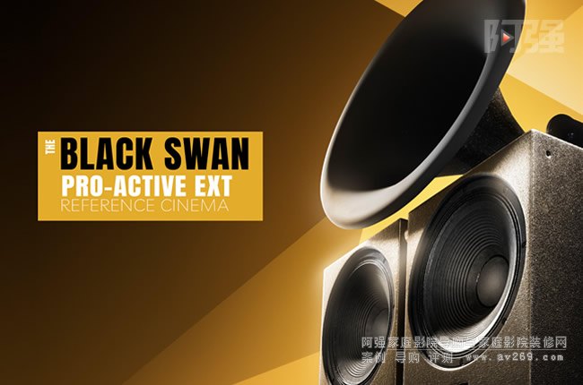 ˹DŞ̖(ho)THE BLACK SWAN ACTIVE EXT RC