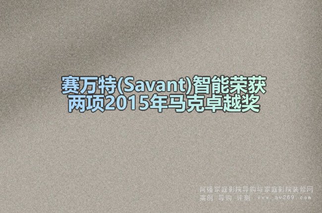 ِf(Savant)ܘs@2015R׿Խ